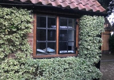 Traditional cottage window with heritage‑style metal muntins surrounded by dense climbing foliage.